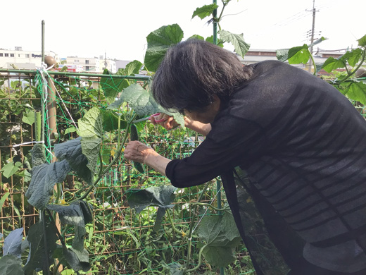 常清の里菜園